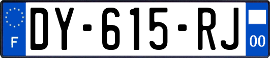 DY-615-RJ