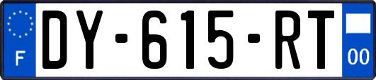 DY-615-RT