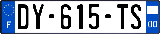 DY-615-TS