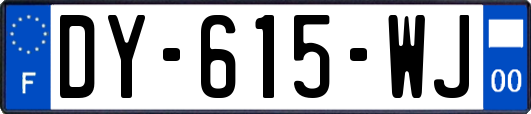 DY-615-WJ