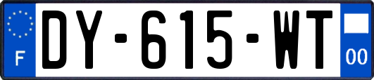 DY-615-WT