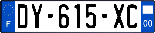 DY-615-XC