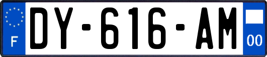 DY-616-AM