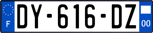 DY-616-DZ