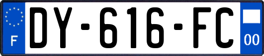 DY-616-FC