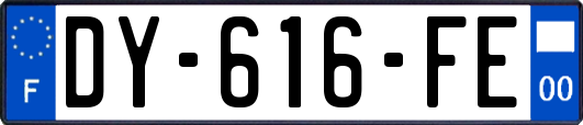 DY-616-FE