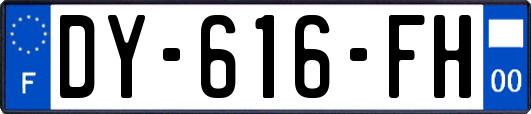 DY-616-FH