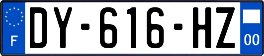 DY-616-HZ