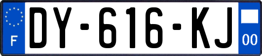 DY-616-KJ