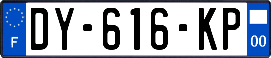 DY-616-KP