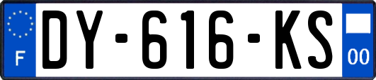 DY-616-KS