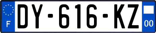 DY-616-KZ