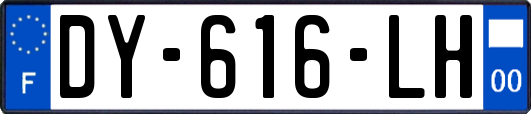 DY-616-LH