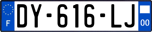 DY-616-LJ