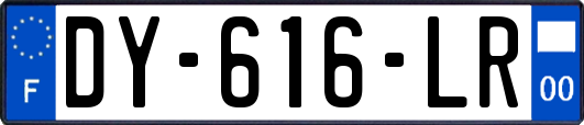 DY-616-LR
