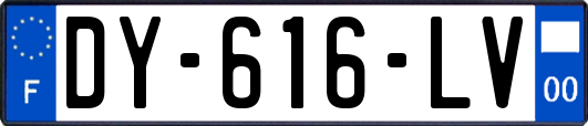 DY-616-LV