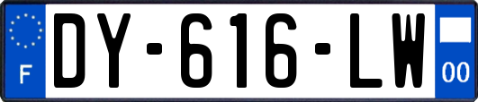 DY-616-LW
