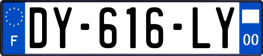 DY-616-LY