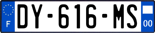 DY-616-MS