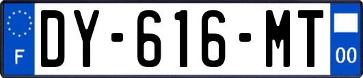 DY-616-MT