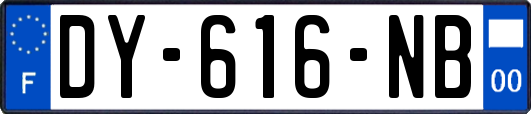 DY-616-NB