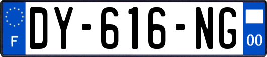 DY-616-NG