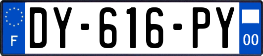 DY-616-PY