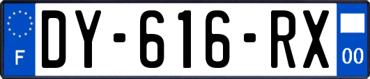 DY-616-RX