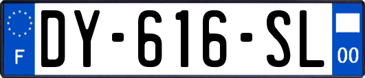 DY-616-SL