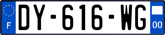 DY-616-WG