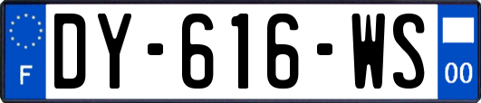 DY-616-WS