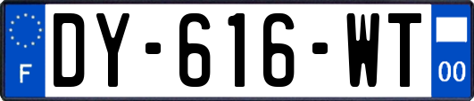 DY-616-WT