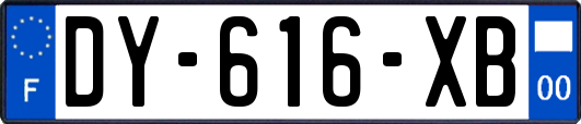 DY-616-XB