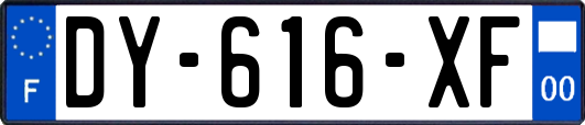 DY-616-XF