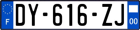 DY-616-ZJ