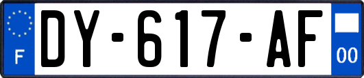 DY-617-AF