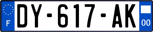 DY-617-AK