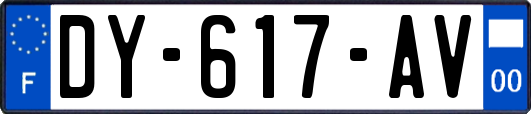 DY-617-AV