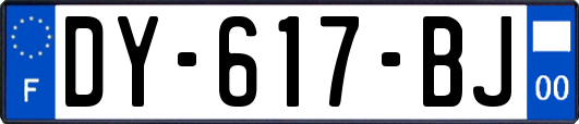 DY-617-BJ