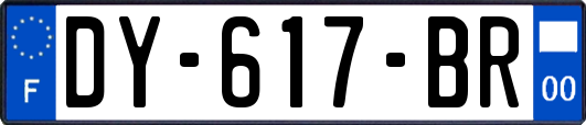 DY-617-BR