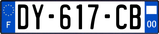 DY-617-CB