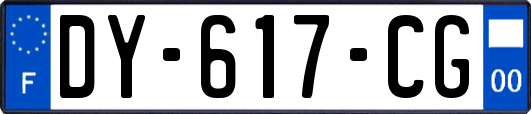 DY-617-CG