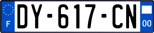 DY-617-CN