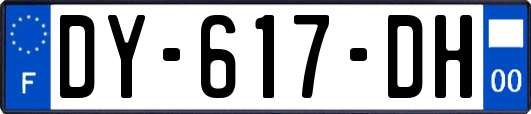 DY-617-DH
