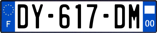 DY-617-DM