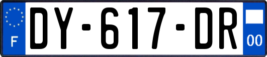 DY-617-DR