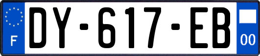 DY-617-EB