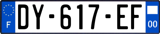 DY-617-EF