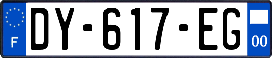 DY-617-EG