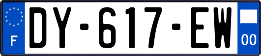 DY-617-EW